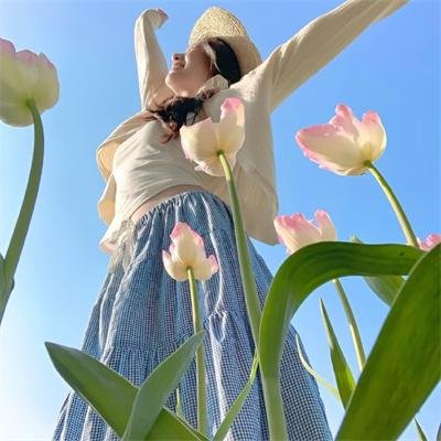 国际桥牌社 第二季